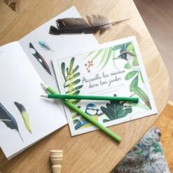 Moulin Roty Coffret Découverte Oiseaux -Bébés Produits Magasin 2 5