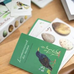 Moulin Roty Coffret Découverte Oiseaux -Bébés Produits Magasin 3