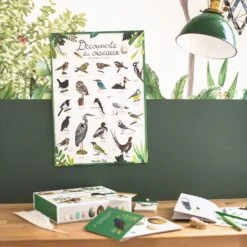 Moulin Roty Coffret Découverte Oiseaux -Bébés Produits Magasin 4