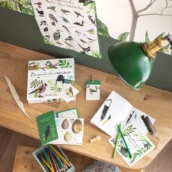 Moulin Roty Coffret Découverte Oiseaux -Bébés Produits Magasin 5