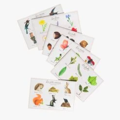 Moulin Roty Loto De La Nature 9 Moulin Roty Loto De La Nature -Bébés Produits Magasin 712387 4 gris