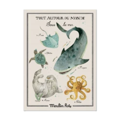 Moulin Roty Affiche Sous La Mer 50x70cm