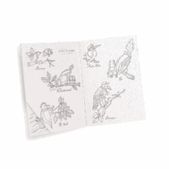 Moulin Roty Coffret Découverte Oiseaux -Bébés Produits Magasin Coffret Decouverte oiseaux Le Jardin du Moulin Moulin Roty 11