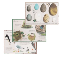 Moulin Roty Coffret Découverte Oiseaux -Bébés Produits Magasin Coffret Decouverte oiseaux Le Jardin du Moulin Moulin Roty 8