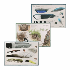 Moulin Roty Coffret Découverte Oiseaux -Bébés Produits Magasin Coffret Decouverte oiseaux Le Jardin du Moulin Moulin Roty 9